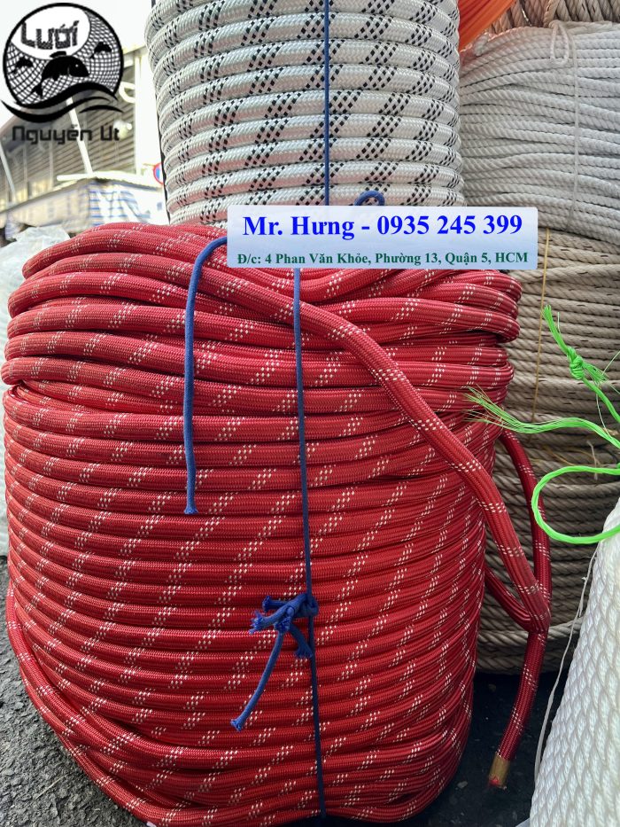 Dây đu sơn nước - Ảnh 5