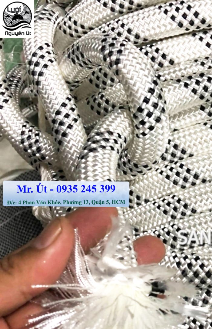 Dây đu sơn nước - Ảnh 10