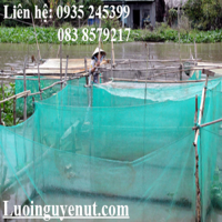 Lưới may vèo nuôi cá - Ảnh 5