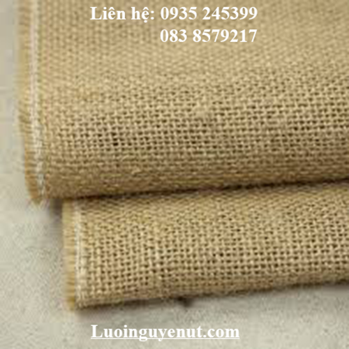 luoinguyenut.com